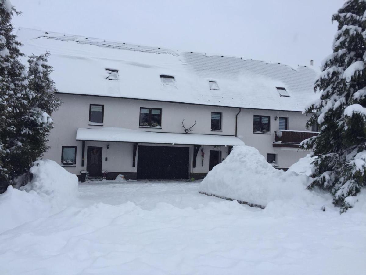 Ferienwohnung Juedel Mit Saunanutzung Gruenhain-Beierfeld Экстерьер фото
