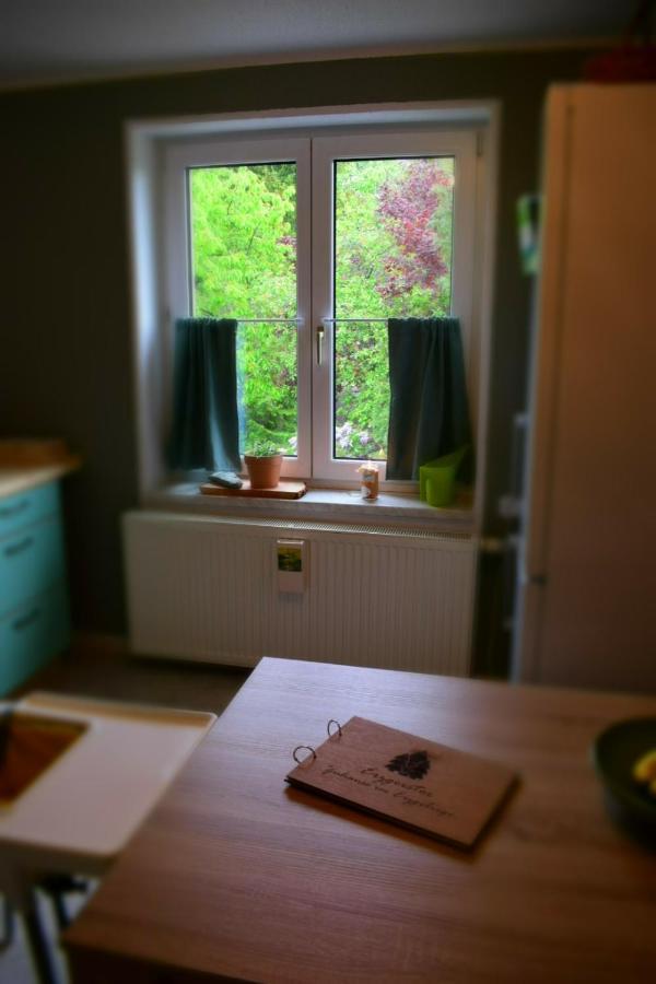 Ferienwohnung Juedel Mit Saunanutzung Gruenhain-Beierfeld Экстерьер фото